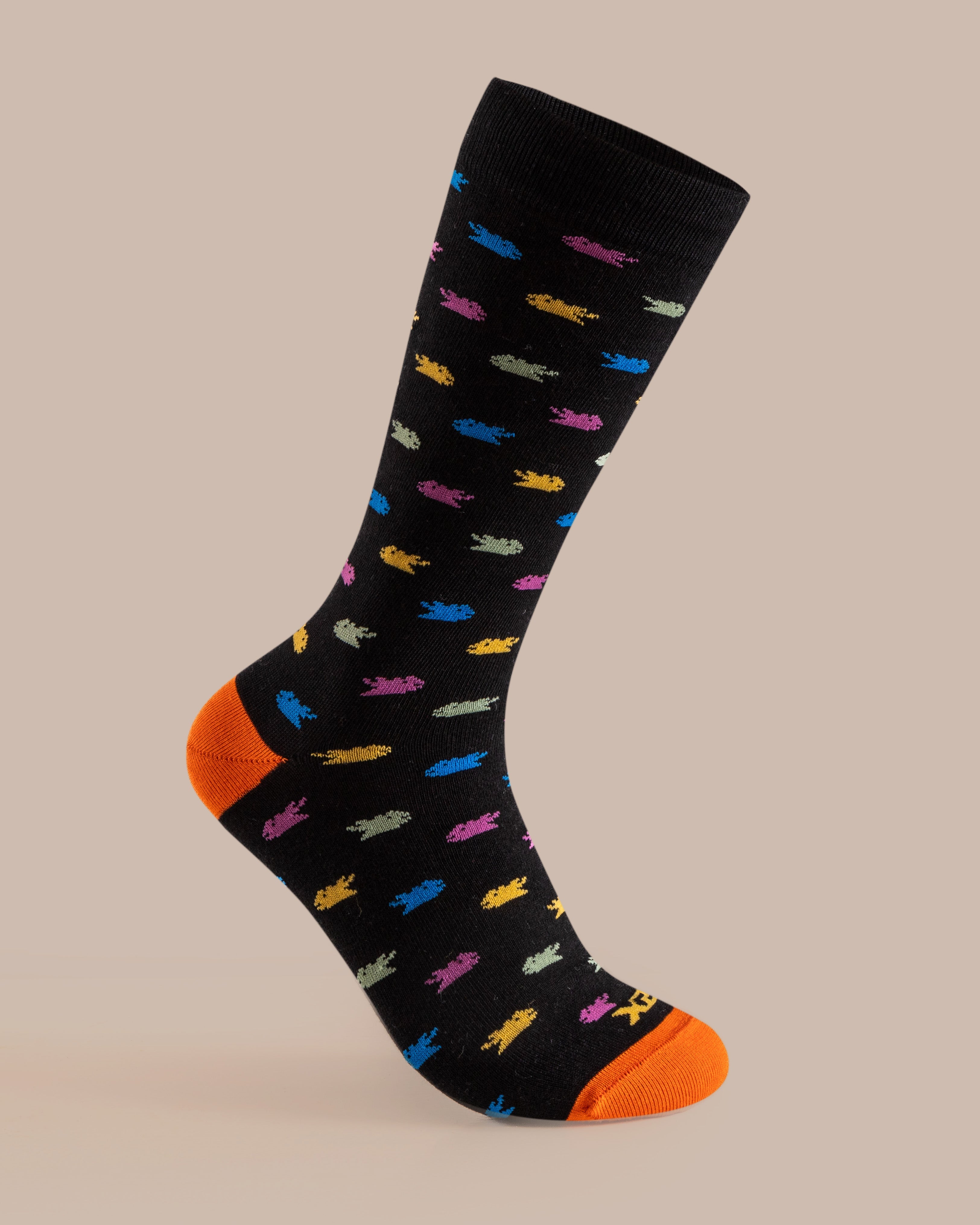 Crew Socks Stare